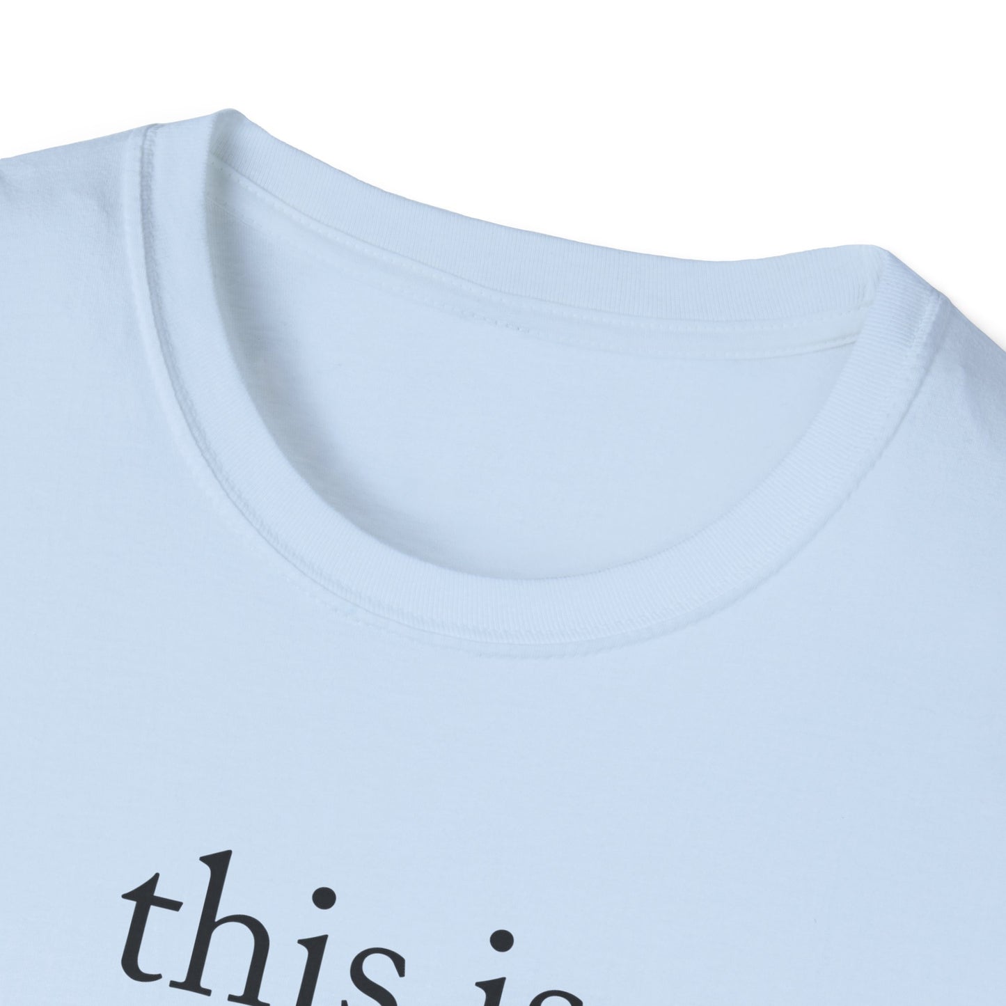 This is what an amazing Landlord looks like - Landlord T-Shirt