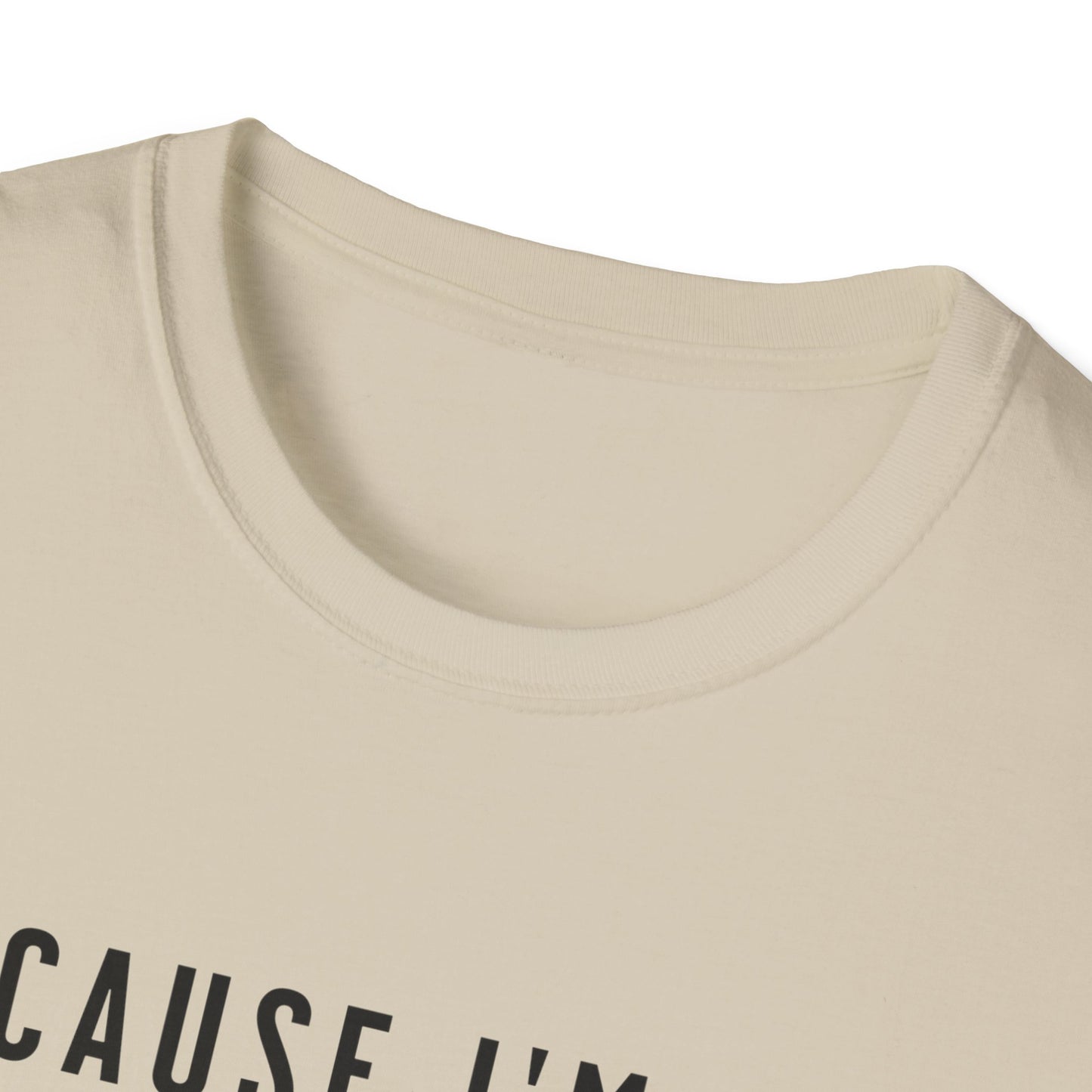 Because I'm the Landlord That's Why - Landlord T-Shirt