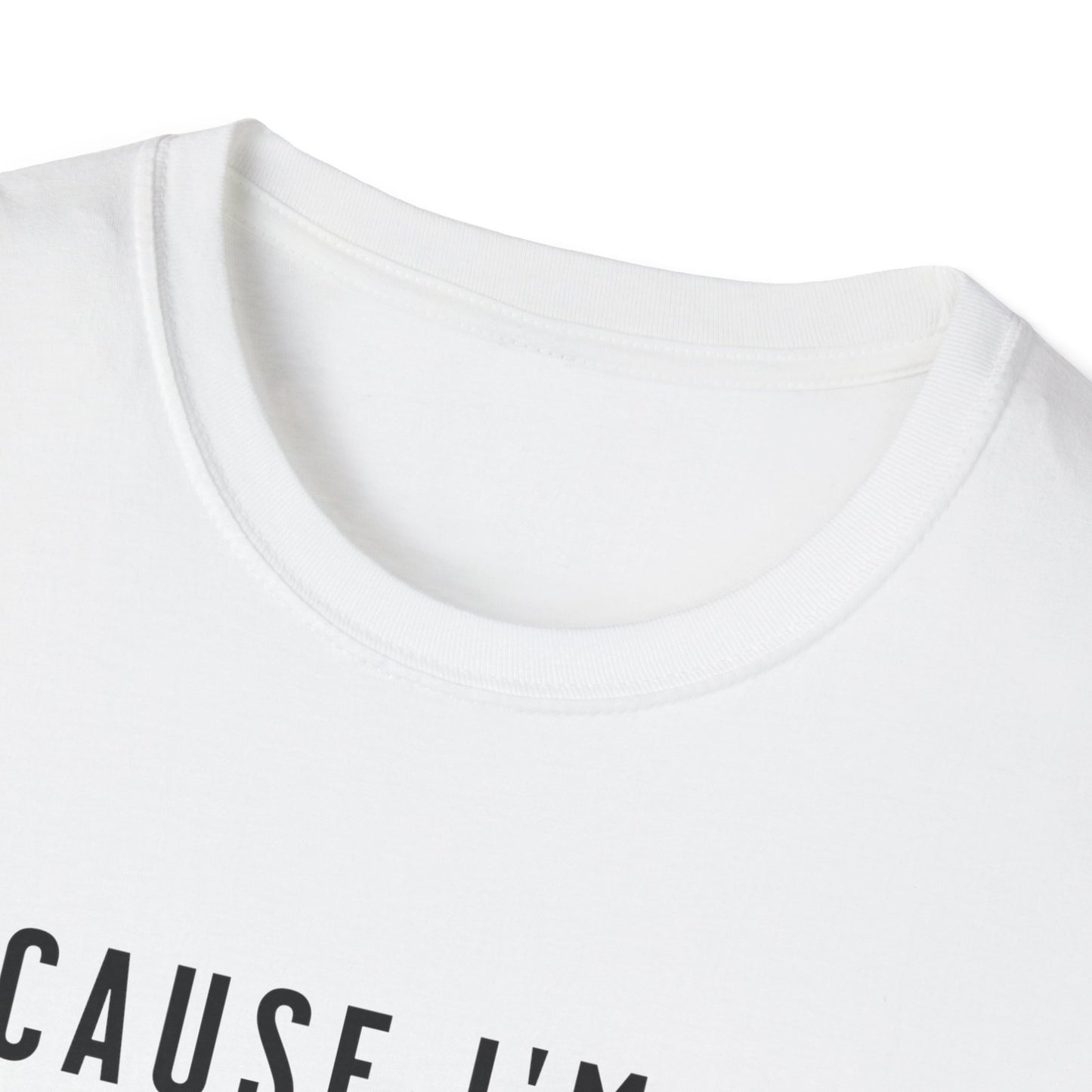 Because I'm the Landlord That's Why - Landlord T-Shirt