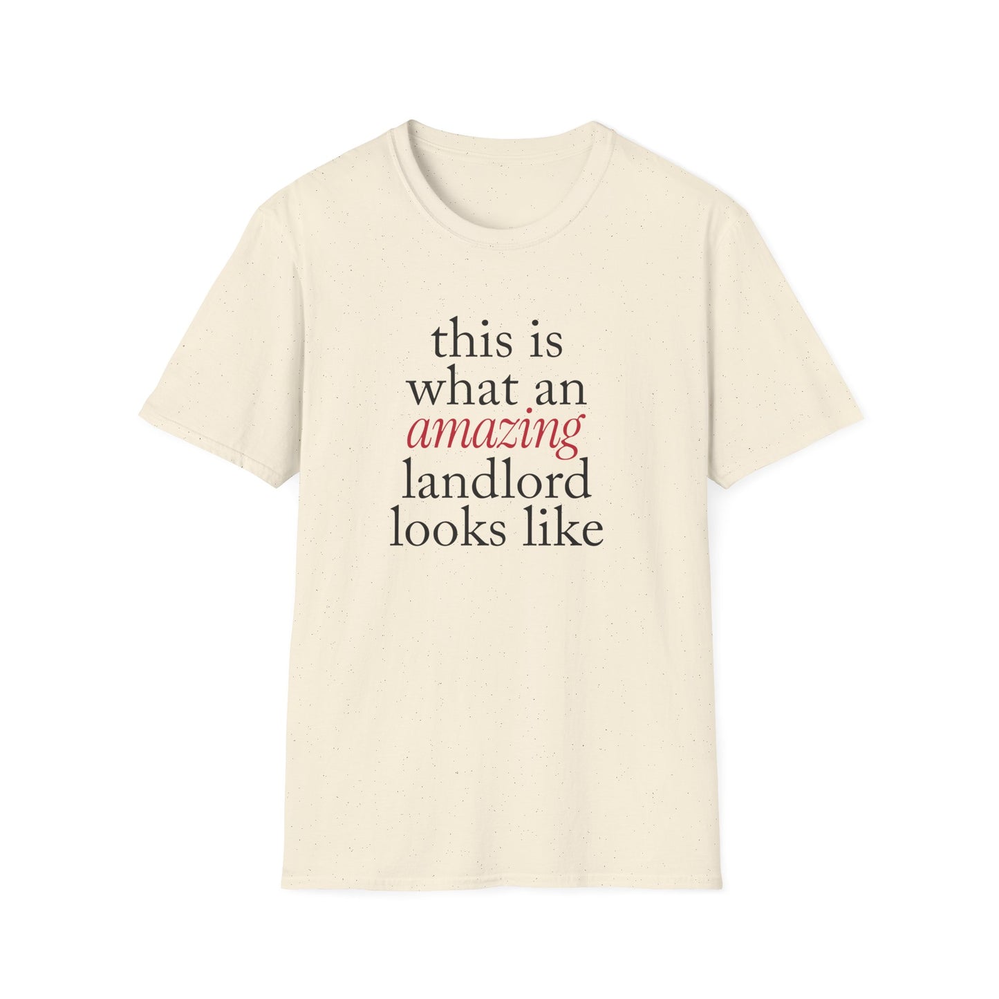 This is what an amazing Landlord looks like - Landlord T-Shirt