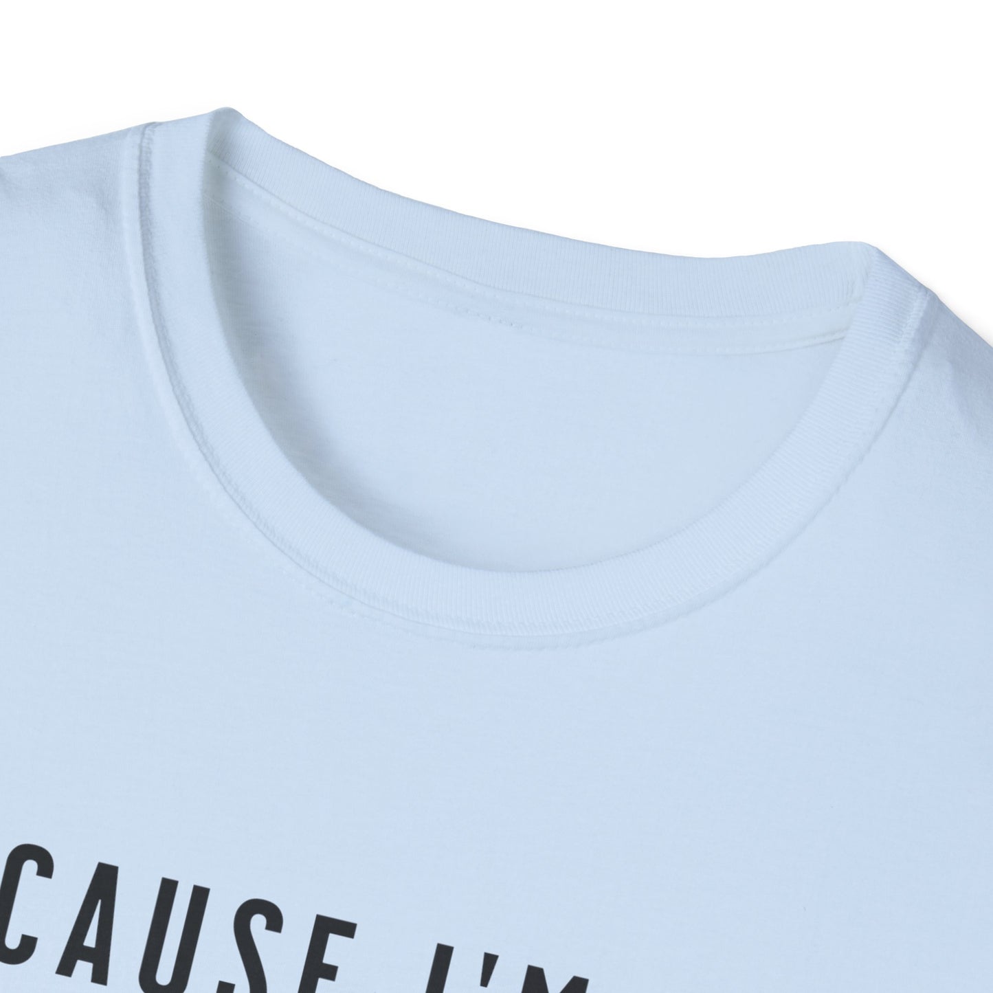Because I'm the Landlord That's Why - Landlord T-Shirt