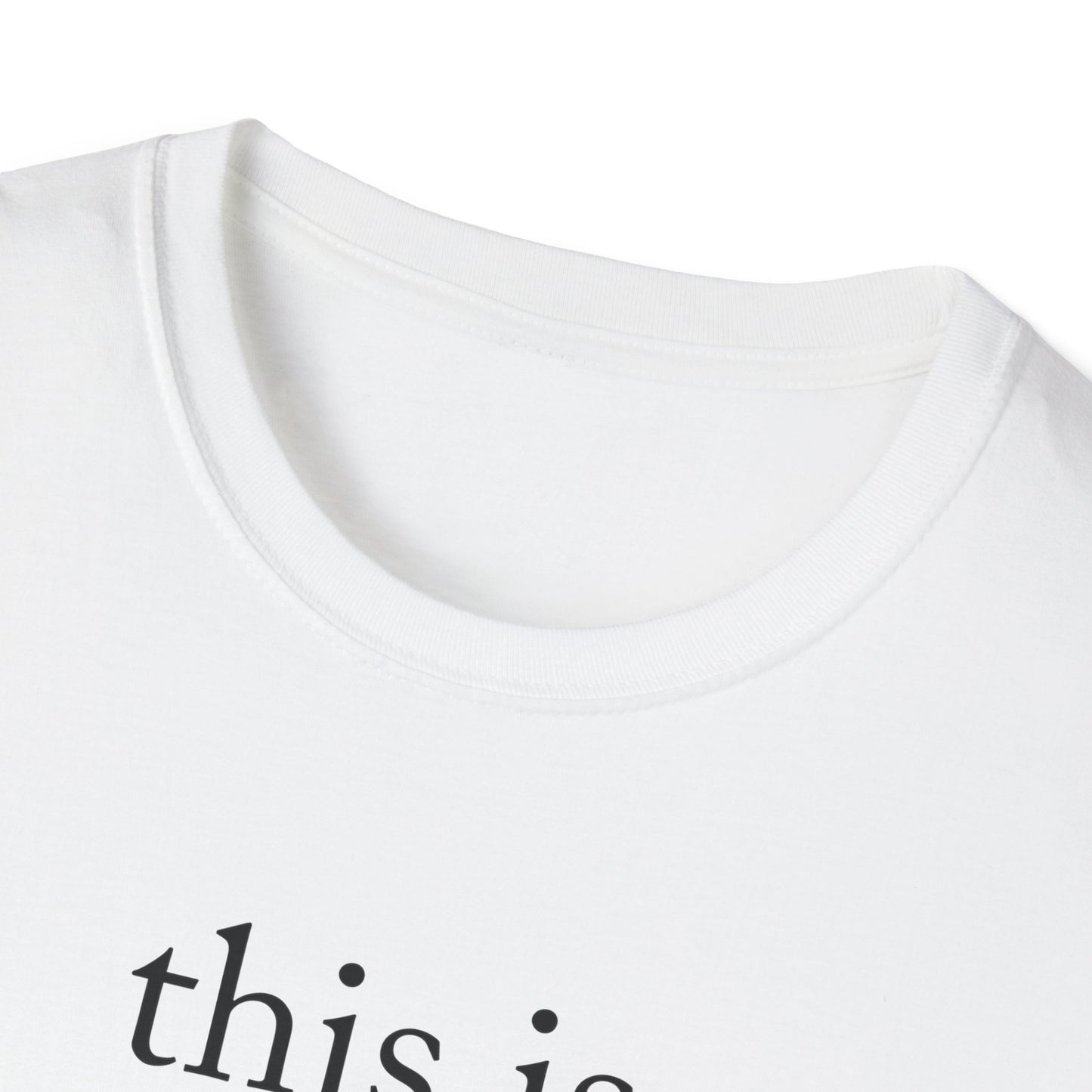 This is what an amazing Landlord looks like - Landlord T-Shirt