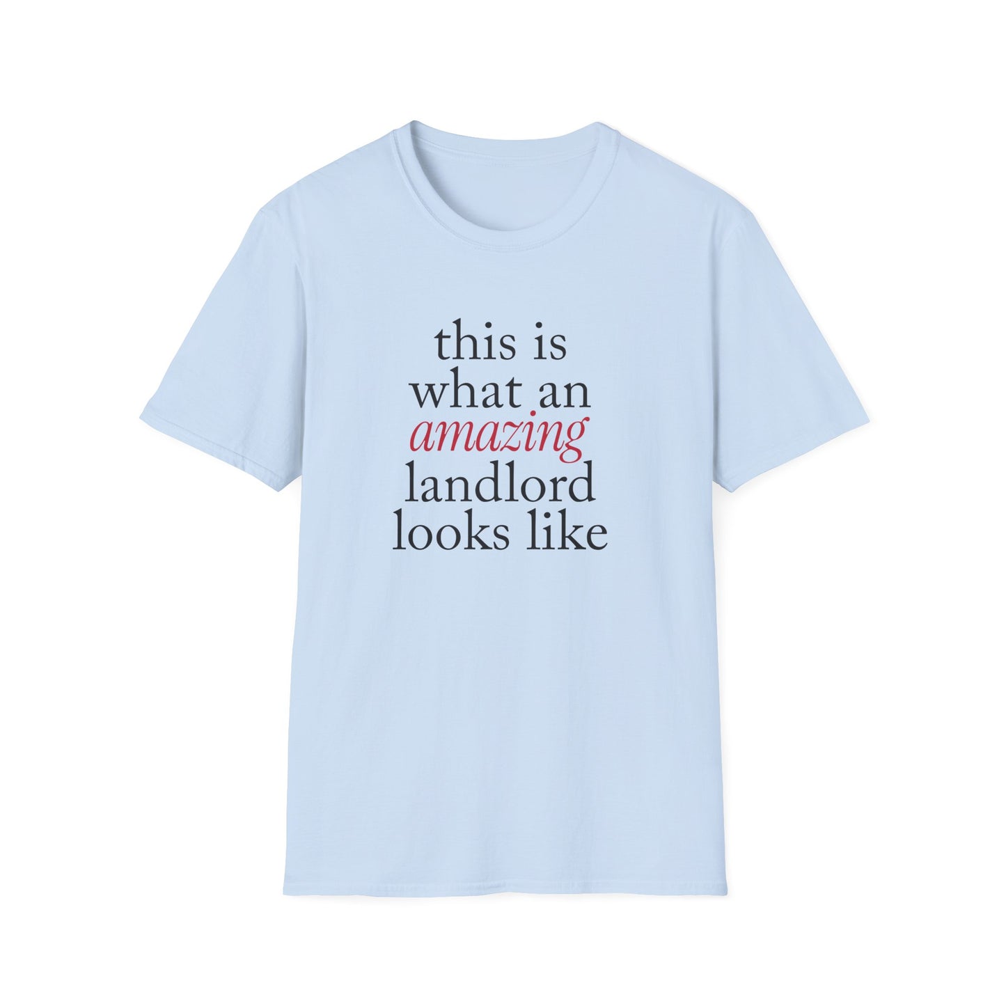 This is what an amazing Landlord looks like - Landlord T-Shirt