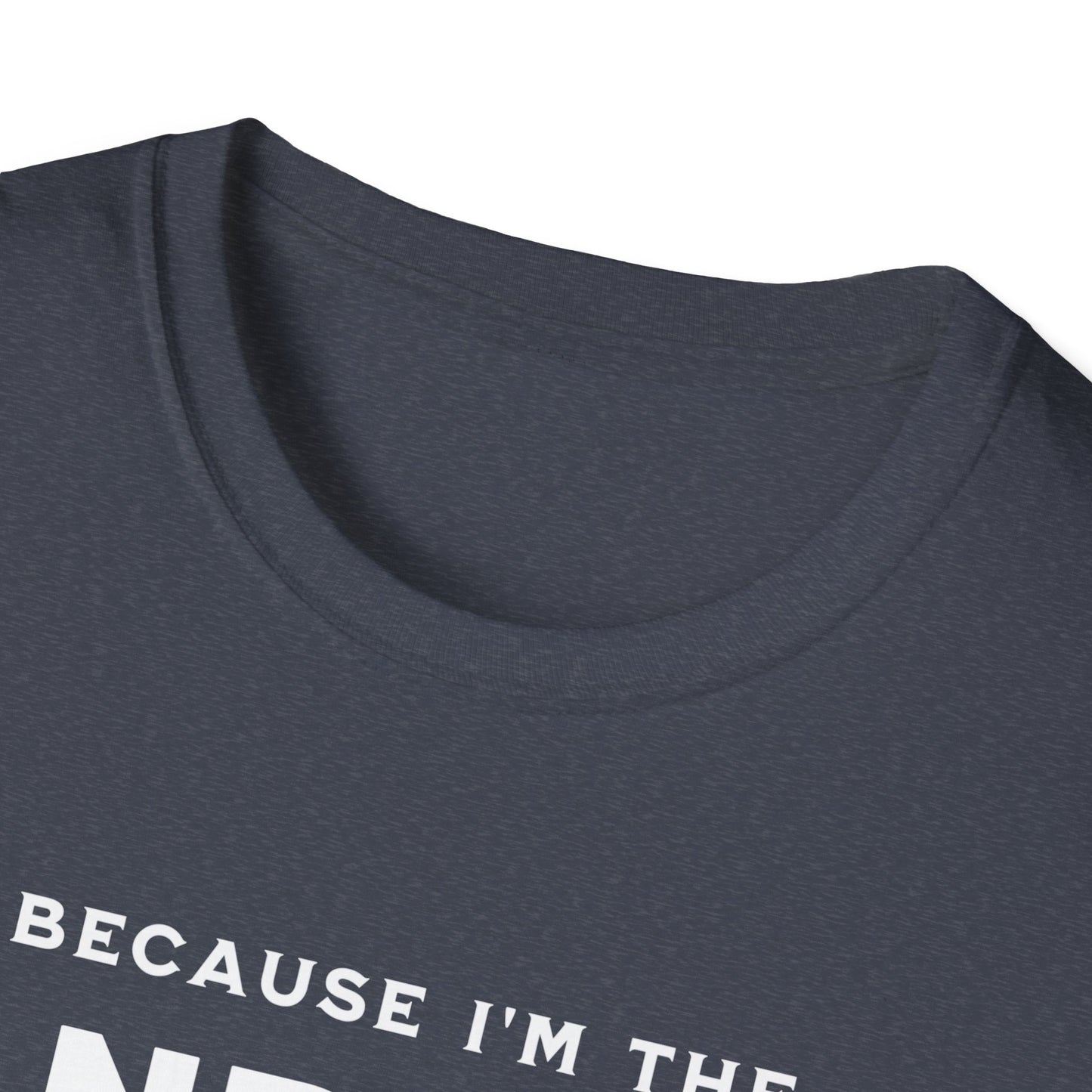 Because I'm the Landlord That's Why - Minimal Landlord T-Shirt