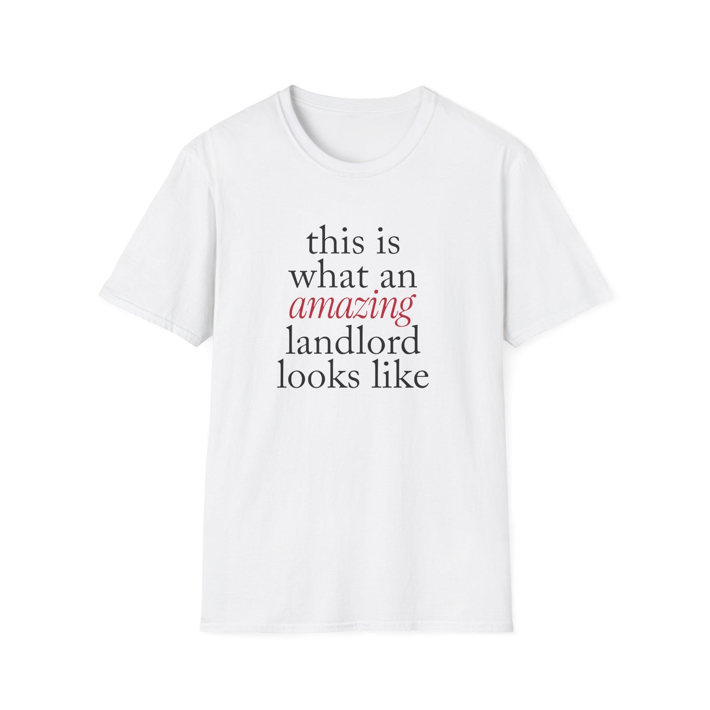 This is what an amazing Landlord looks like - Landlord T-Shirt