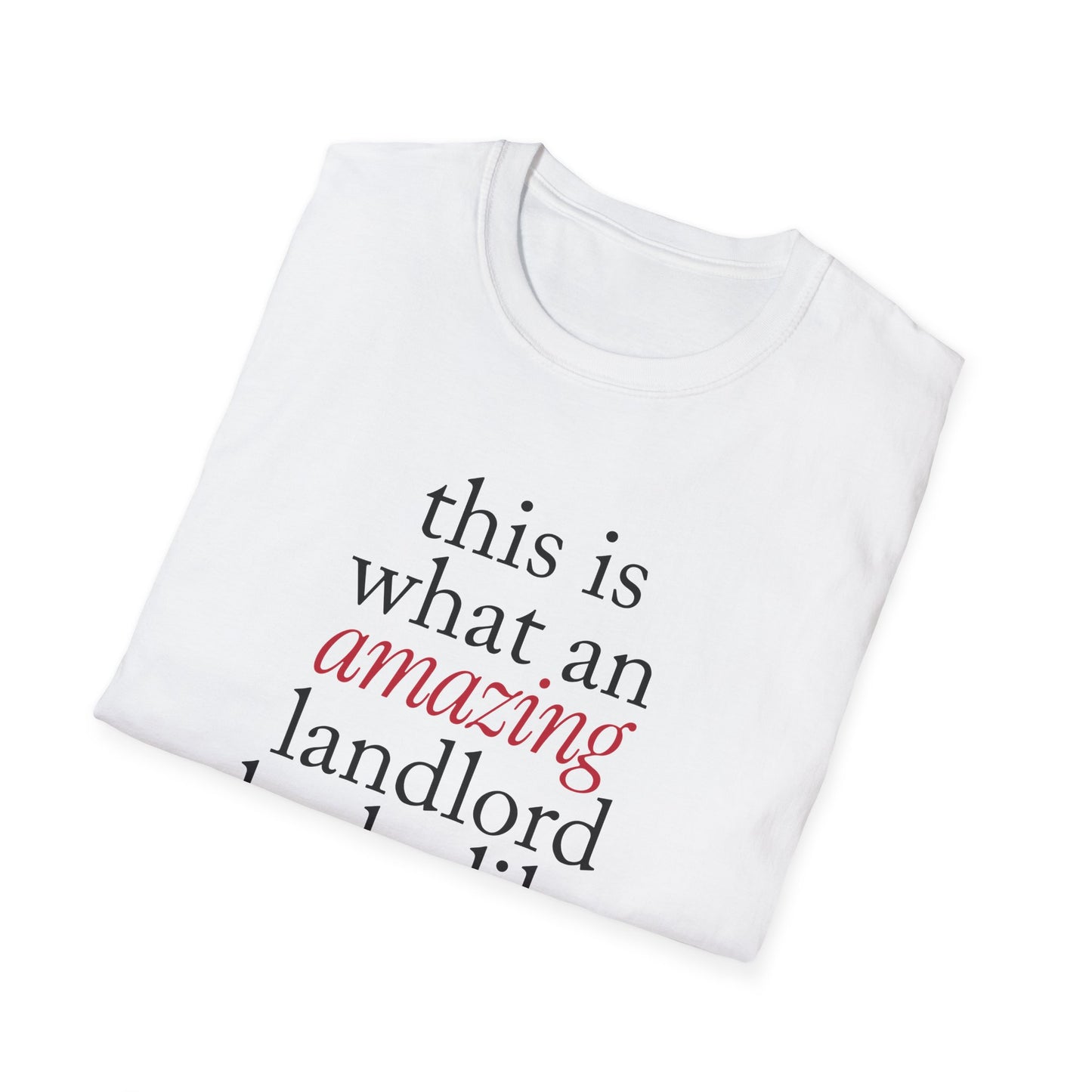 This is what an amazing Landlord looks like - Landlord T-Shirt