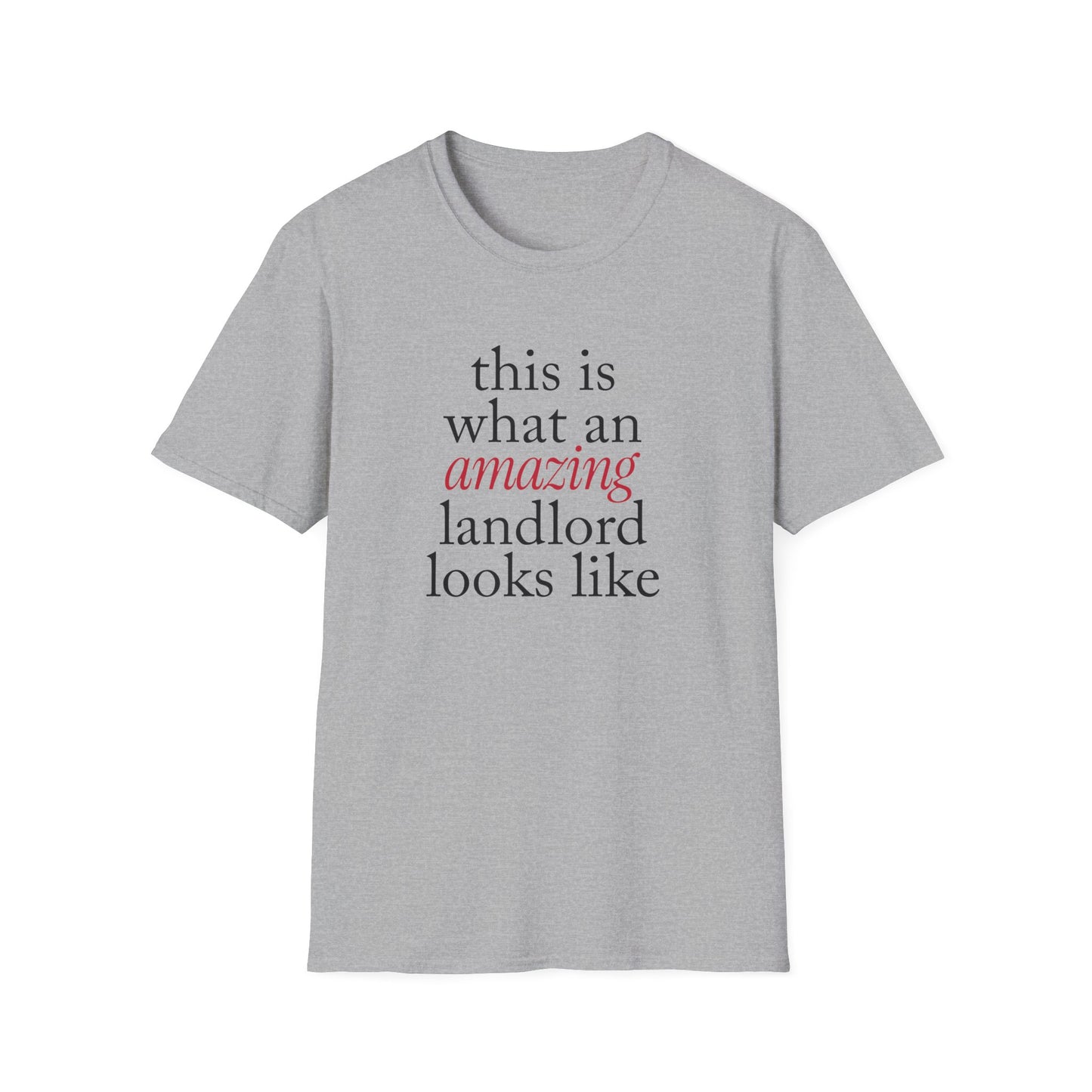 This is what an amazing Landlord looks like - Landlord T-Shirt
