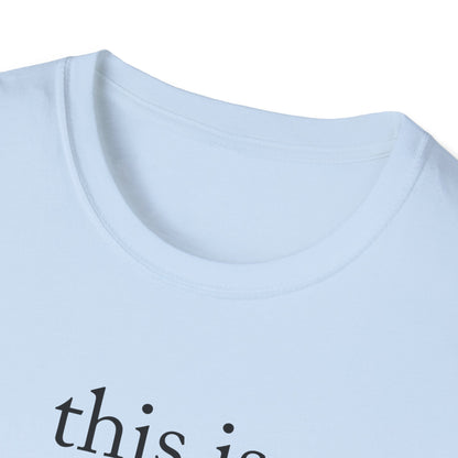 This is what an amazing Landlord looks like - Landlord T-Shirt