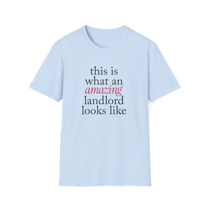 This is what an amazing Landlord looks like - Landlord T-Shirt