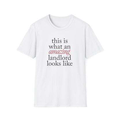 This is what an amazing Landlord looks like - Landlord T-Shirt