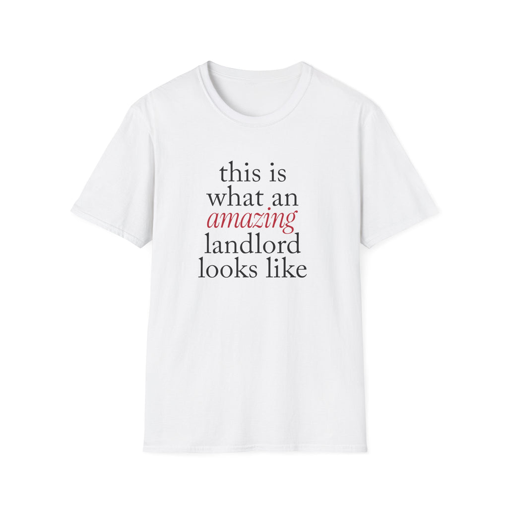 This is what an amazing Landlord looks like - Landlord T-Shirt